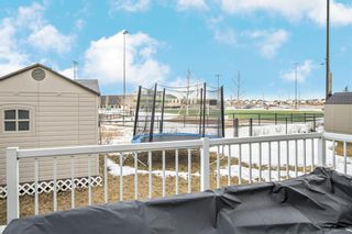 Photo 36: 301 Martin Crossing Place NE in Calgary: Martindale Detached for sale : MLS®# A1177108