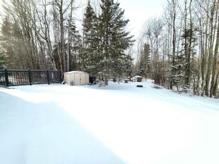 Photo 40: 156 462028 RGE RD 11: Rural Wetaskiwin County House for sale : MLS®# E4329003