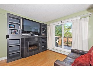 Photo 4: 302 333 5 Avenue NE in Calgary: Crescent Heights Condo for sale : MLS®# C4024075