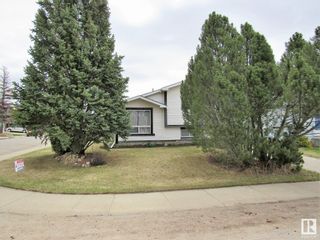 Photo 3: 5413 186 Street in Edmonton: Zone 20 House for sale : MLS®# E4292850