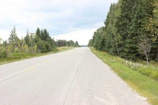 Photo 11: Lt 2 Hwy 121 in Kawartha Lakes: Rural Somerville Property for sale : MLS®# X2986227
