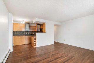 Photo 15: 401 123 24 Avenue SW in Calgary: Mission Apartment for sale : MLS®# A2115992