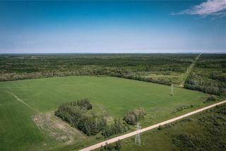 Photo 4: 0 81 Road North in Tyndall: R03 Residential for sale : MLS®# 202218750