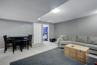 Photo 25: 26 Elgin Park Common SE in Calgary: McKenzie Towne Detached for sale : MLS®# A1232369