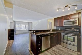 Photo 4: 206 728 3 Avenue NW in Calgary: Sunnyside Apartment for sale : MLS®# A2054337