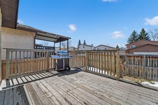 Photo 33: 54 Templeson Crescent NE in Calgary: Temple Detached for sale : MLS®# A1209968