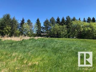 Photo 14: 53-1316 Twp Rd 533 NW: Rural Parkland County Rural Land/Vacant Lot for sale : MLS®# E4277421