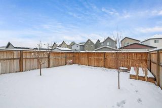 Photo 34: 16 Copperpond Parade SE in Calgary: Copperfield Detached for sale : MLS®# A2124610