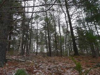 Photo 7: 0 St Georges Lake Road in Central Frontenac: Property for sale : MLS®# X3224210