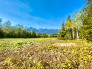 Photo 4: DL 6011 CARR Road in Valemount: Valemount - Rural West Land for sale (Robson Valley)  : MLS®# R2719837