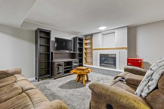 Photo 19: 456 Cedarille Crescent SW in Calgary: Cedarbrae Detached for sale : MLS®# A2129874