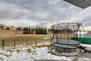 Photo 45: 190 Royal Ridge Mount NW in Calgary: Royal Oak Detached for sale : MLS®# A1181086