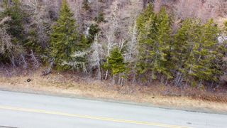 Photo 5: Grand Mira South Road in Juniper Mountain: 210-Marion Bridge Vacant Land for sale (Cape Breton)  : MLS®# 202310060