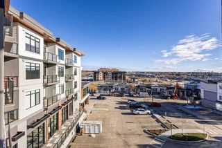 Photo 24: 312 205 Spring Creek Common SW in Calgary: Springbank Hill Apartment for sale : MLS®# A2095461