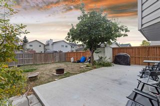 Photo 32: 231 Costa Mesa Close NE in Calgary: Monterey Park Detached for sale : MLS®# A2084752