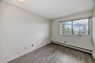 Photo 30: 8 219 Village Terrace SW in Calgary: Patterson Apartment for sale : MLS®# A2114641