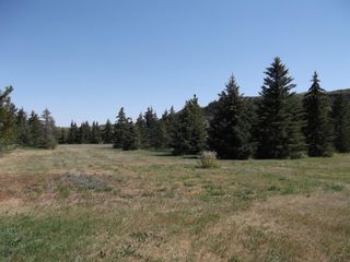 Photo 34: 274090 Highway 841: Rural Wheatland County Detached for sale : MLS®# A1231411