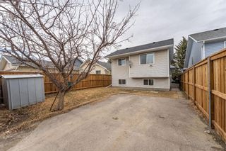 Photo 24: 115 Martinwood Road NE in Calgary: Martindale Detached for sale : MLS®# A1197189