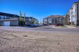Photo 21: 1106 6118 80 Avenue NE in Calgary: Saddle Ridge Apartment for sale : MLS®# A2123612