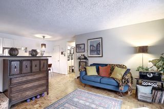 Photo 9: 303 215 25 Avenue SW in Calgary: Mission Apartment for sale : MLS®# A1063932