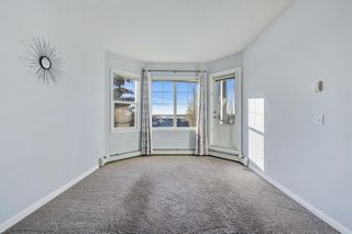 Photo 3: 319 8 Prestwick Pond Terrace SE in Calgary: McKenzie Towne Apartment for sale : MLS®# A2013843