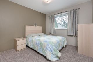 Photo 11: 22928 123B Avenue in Maple Ridge: East Central House for sale : MLS®# R2034752