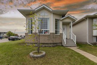 Main Photo: 192 Martinvalley Crescent NE in Calgary: Martindale Detached for sale : MLS®# A2137373