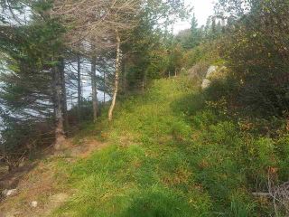 Photo 16: Back Bay Road in Terence Bay: 40-Timberlea, Prospect, St. Marg Vacant Land for sale (Halifax-Dartmouth)  : MLS®# 202405719