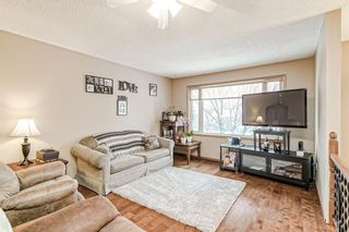 Photo 4: 3240 Doverthorn Way SE in Calgary: Dover Detached for sale : MLS®# A2021642