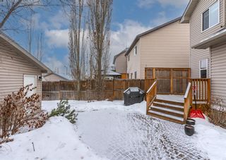 Photo 47: 218 Elgin Rise SE in Calgary: McKenzie Towne Detached for sale : MLS®# A2016637