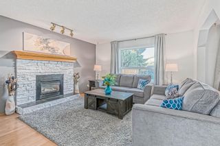 Photo 3: 52 Applewood Court SE in Calgary: Applewood Park Detached for sale : MLS®# A2018208