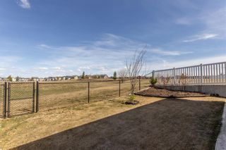Photo 40: 52 Thompson Crescent: Red Deer Detached for sale : MLS®# A2052805