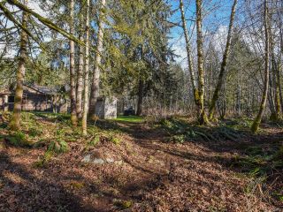 Photo 45: 3699 Burns Rd in COURTENAY: CV Courtenay West House for sale (Comox Valley)  : MLS®# 834832