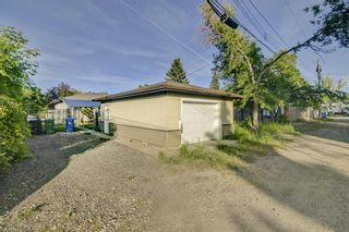 Photo 26: 4431 3 Street NE in Calgary: Greenview Detached for sale : MLS®# A1232463