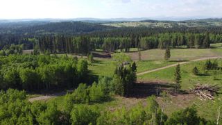 Photo 5: SW 40 Acres off Range Road 70 in Rural Bighorn No. 8, M.D. of: Rural Bighorn M.D. Residential Land for sale : MLS®# A1115931