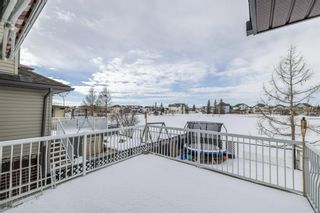 Photo 43: 15 Martha’s Way NE in Calgary: Martindale Detached for sale : MLS®# A1186356