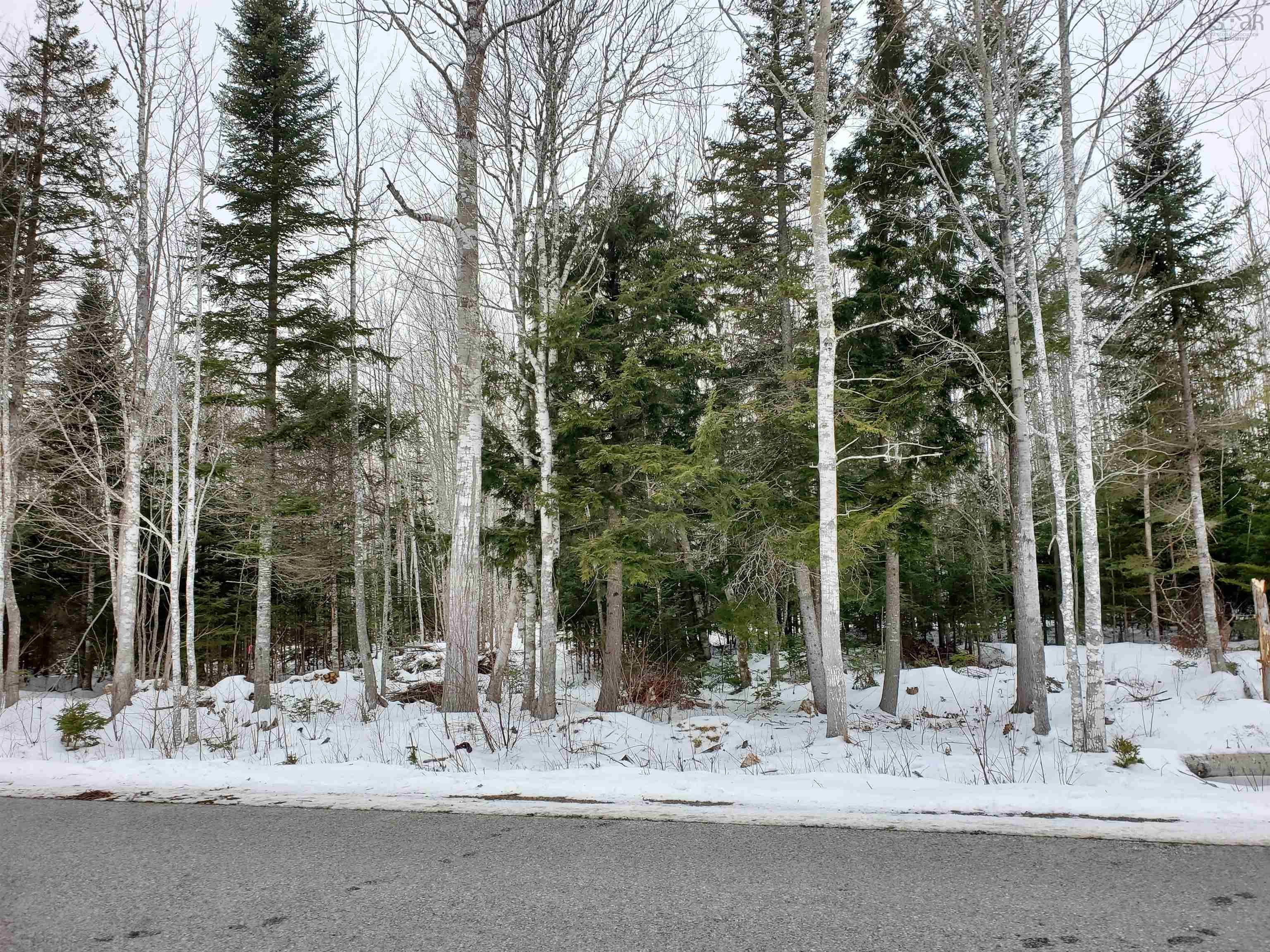 Main Photo: Lot 9 Stewart Road in Lyons Brook: 108-Rural Pictou County Vacant Land for sale (Northern Region)  : MLS®# 202302242