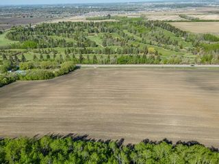 Photo 13: 38319 RR 270: Rural Red Deer County Commercial Land for sale : MLS®# A2046827