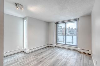 Photo 14: 306 1732 9A Street SW in Calgary: Lower Mount Royal Apartment for sale : MLS®# A2117753