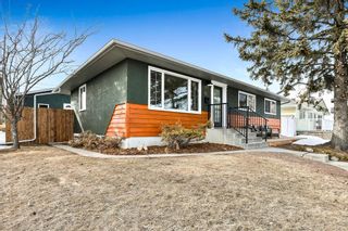 Photo 26: 81 White Oak Crescent SW in Calgary: Wildwood Detached for sale : MLS®# A2050002