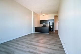 Photo 11: 405 8710 Horton Road SW in Calgary: Haysboro Apartment for sale : MLS®# A1234755