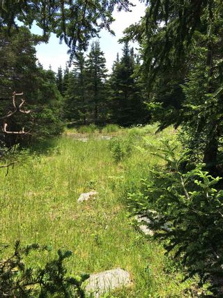 Photo 23: 00 Harbour Island in Whitehead: 303-Guysborough County Vacant Land for sale (Highland Region)  : MLS®# 202116622