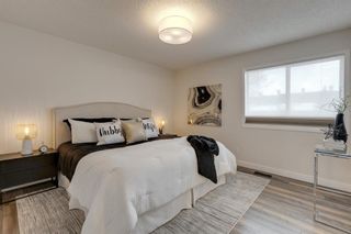Photo 21: 21 Inverness Green SE in Calgary: McKenzie Towne Detached for sale : MLS®# A1206647