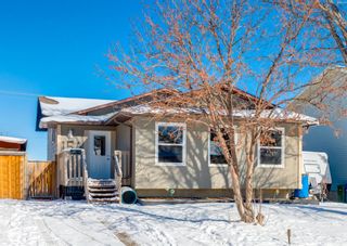 Photo 1: 156 Beddington Circle NE in Calgary: Beddington Heights Detached for sale : MLS®# A1206246