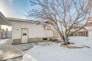 Photo 35: 216 Pinetree Place NE in Calgary: Pineridge Detached for sale : MLS®# A2013958