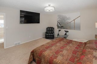 Photo 33: 87 Northern Lights Drive in Winnipeg: South Pointe Residential for sale (1R)  : MLS®# 202302159