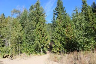 Photo 3: Lot 19 Recline Ridge Road in Tappen: Land Only for sale : MLS®# 10223920