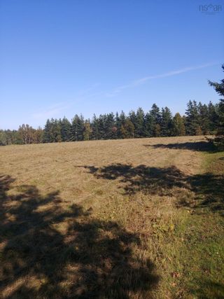 Photo 3: Toney River Road in Toney River: 108-Rural Pictou County Vacant Land for sale (Northern Region)  : MLS®# 202220779
