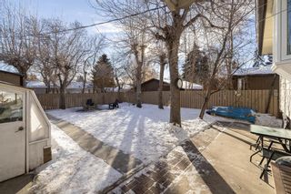 Photo 43: 5308 Thornbriar Road NW in Calgary: Thorncliffe Detached for sale : MLS®# A2021349