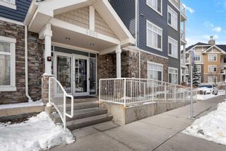 Photo 5: 6304 155 Skyview Ranch Way NE in Calgary: Skyview Ranch Apartment for sale : MLS®# A2124102